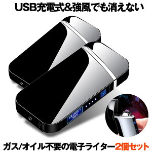 【送料無料】 高級感抜群 近未来的 プラズマ 電子ライター 2台セット USB 充電式 電気 小型 軽量 防風 薄型 誕生日 2-ARKLLRE