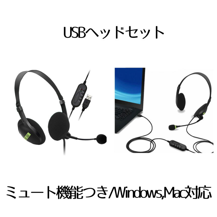 【送料無料】 usb ヘッドセット テレワーク ミュート機能付き 両耳ボイスチャット用 ヘッドフォン PC Windows Mac対…