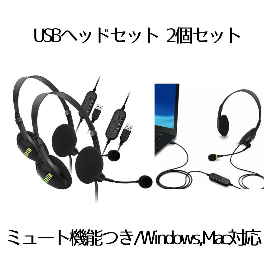 【マラソン中ポイント5倍】 【送料無料】 usb ヘッドセット 2台セット テレワーク ミュート機能付き 両耳ボイスチャット用 ヘッドフォン PC Windows Mac対応 2-USHEDSET