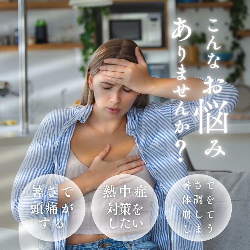 アイス 帽子 ヘッド 冷却パッド 大人 子ども ヘッドクール 帽子用保冷剤 瞬間冷却 ...
