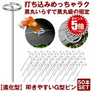 【 打ち込み超簡単 】 防草シート ピン Gピン杭 固定ピン 除草シート 50本 防草しーと 防そうシート 防そうしーと 固定用 固定 人工芝 おさえピン 押さ...