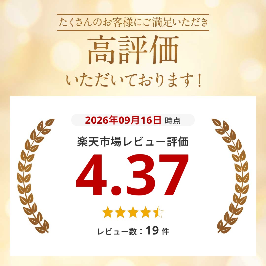 【今だけ最大20％OFFクーポン】 耐火バッグ 耐火 袋 モバイルバッテリー 防火袋 耐火バック 金庫 家庭用 耐火 セーフティバッグ 小型 耐火ケース 防火 発火 防止 バッテリー入れる袋 防水ポーチ 貴重品 ケース 防水 ポーチ 袋 バッグ 収納 A4 持ち運び 火事 災害 水害 shopkurano-10013820 SHOP KURANO サンプル画像3