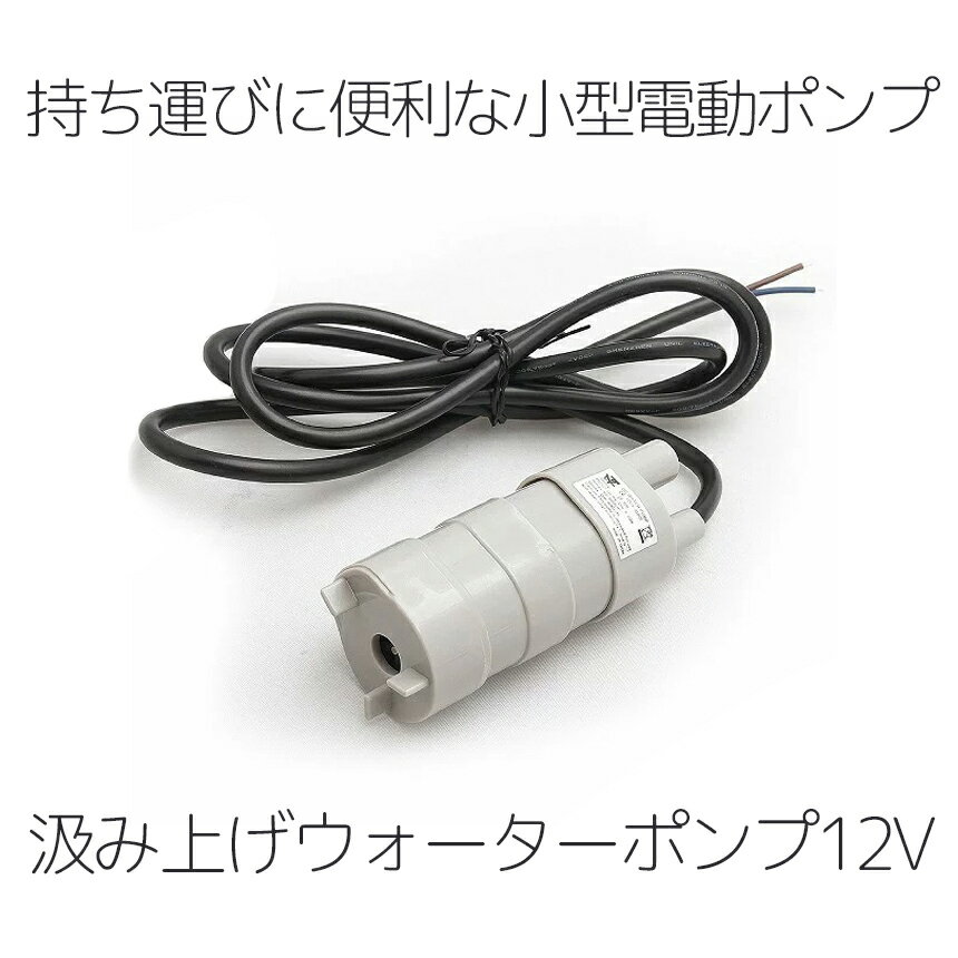 水中ポンプ 12V 小型 小型ポンプ 組み上げポンプ 汲み上げ 揚程5m 流量600L/H キャンプ アウトドア 釣り 水やり 洗車 送料無料 JT-500-12