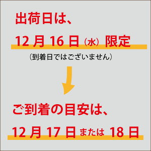 チョコレートクリスマスケーキ 4号サイズ 直径約12cm CHOCOLATE CHRISTMAS CAKE 限定 クリスマスケーキ XMAS CAKE 濃厚 ダークチョコレートムース ミルクチョコレートムース ブランデー 大人 クーベルチュール チョコレート ホールケーキ shopless-sweets-10000071 店舗をもたないスイーツ店 サンプル画像3