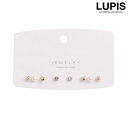 LUPIS スタンダードプチピアスセット【4種セット】 アクセサリー