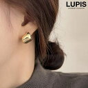 LUPIS ニュアンスカーブメタルピアス【S925ポスト】 アクセサリー
