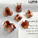 【4/27 9:59まで 10%OFFクーポン】LUPIS グラデーションプチヘアクリップ【小ぶり】 ヘアアクセサリー