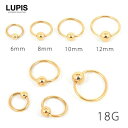 LUPIS 【18G】ゴールドシンプルキャプティブビーズリングボディピアス【サージカルステンレス 316L ボディピアス 18G キャプティブ ビーズ ゴールド 激安 安い プチプラ 春 夏 秋 冬 春夏 秋冬 ルピス LUPIS】 アクセサリー