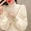 SUNSHINE CLOSET 微起毛 ハイネックレースブラウス 春秋冬 トップス