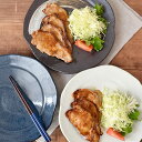 TABLE WARE EAST 和食器 大皿 うず型 27.5cmパスタ皿 皿 プレート 食器 主菜皿 盛り皿 ディナープレート ワンプレート デザートプレート パンケーキ 和皿 モダン 和カフェ おうちCafe おしゃれな食器 オシャレ お洒落 食器・
