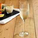 TABLE WARE EAST (シェフ&ソムリエ)Chef&Sommelier フルートシャンパン 170ccグラス ガラス ガラス食器 シャンパン シャンパ...