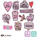 CLARAH ワッペン 12枚セット シールワッペン アイロン ピンク ファンシー 入園準備 入学準備 新入学 新入園 幼稚園 保育園 小学校 アップリケ 刺繍 ハンドメイド ファッション雑貨