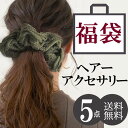 【4/17 9:59まで 10%OFFクーポン】ヘアアクセサリー ヘアゴム 福袋 2025 5点 ヘアクリップ ゴム クリップ ゴム バナナクリップ プチプラ ...