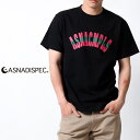 Maqua-store ASNADISPEC Tシャツ メンズ 半袖 ティーシャツ TEE アスナディスペック タギング プリント ブランド 人気 B系アメカジ ストリート おしゃれ かっこいい /3045/ asst2256 トップス