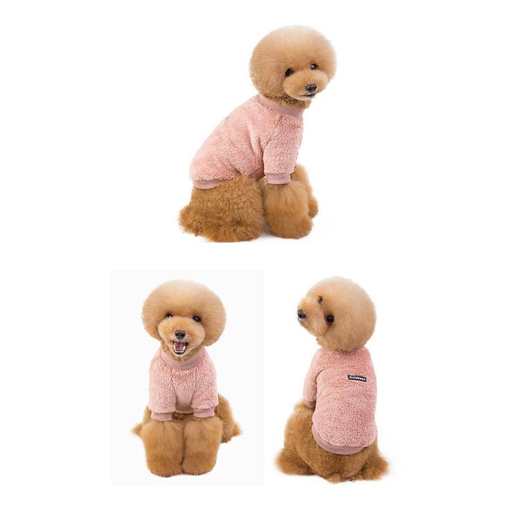 CLARAH��WOMEN�� ���� �ɥå������� ������ T����� �ȥ졼�ʡ� �ܥ� ̵�� �⤳�⤳ �⥳�⥳ �ڥå����� ��� ������� �ɥå� ���� ���� �ɴ� ������ �淿�� �ե��å���󻨲�