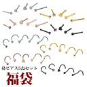 ピアス専門店HOMESLICEPRODUCTIONS 【鼻ピアス福袋】ピアス ボディピアス 福袋 5点セット 2025 サージカルステンレス 20G ラウンドジ...