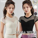 【5/10限定 15%OFFクーポン】Tearly ヨガウェア トップス ピラティス ヨガ ウェア 半袖 ヨガウエア ジム ウェア レディース おしゃれ 体型カ...
