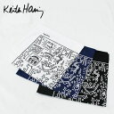【5/16 1:59まで 5%OFFクーポン】EYEDY Keith Haring キースヘリング Rainbow Works Keith Haring BAN...