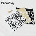 【5/16 1:59まで 5%OFFクーポン】EYEDY Keith Haring キースヘリング Rainbow Works Keith Haring BAN...