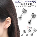 ピアス専門店HOMESLICEPRODUCTIONS ピアス G23チタン 金属アレルギー対応 シンプル 丸玉 ボールピアス つけっぱなし ファーストピアス 1ペア メンズ レディース アクセサリー