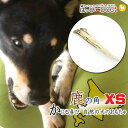 K-city 鹿の角 北海道 鹿角 犬のおもちゃ 犬のおやつ おもちゃ おやつ ドッグガム デンタルケア デンタル効果 蝦夷鹿の角 口臭対策 ファッション雑貨