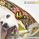 K-city 鹿の角 北海道 鹿角 犬のおもちゃ 犬のおやつ おもちゃ おやつ ドッグガム デンタルケア デンタル効果 蝦夷鹿の角 口臭対策 ファッション雑貨