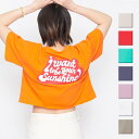 &soiree ポップカラーTシャツ ショート丈トップス トップス