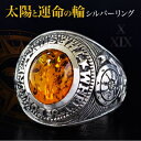 【5/10限定 15%OFFクーポン】2PIECES 【タロットカード】【シルバーリング】【カレッジリング】◆r0636■チャンス到来!幸福なる前途を開け、太陽...