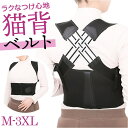【マラソン期間中 5%OFFクーポン】BACKYARD FAMILY ...(4)