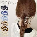 【8/11まで5%OFFクーポン】terracotta 犬 ドッグ ヘアクリップ バンスクリップ アセテート シュナウザー テリア ワンちゃん イヌ 愛犬 ヘア...