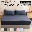 BACKYARD FAMILY ボックスシーツ シングル セミダブル ダブル クイーン 寝具・インテリア雑貨