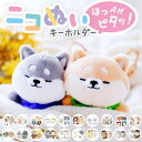 BACKYARD FAMILY ニコぬいキーホルダー 小物