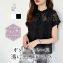 COCOMOMO シアーブラウス シアージャガードシャツ 刺繍レース レースシャツ レース シャツ トップス シアー ブラウス シアーシャツ 半袖 刺繍 シャツ...