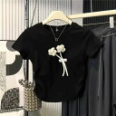 Tシャツ WOMEN 春 夏 秋 冬 SHOPLIST 3,980円以上送料無料