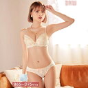 Dazzy ブラジャー ショーツ セット ドリーミー キュート フラワー ブラジャー & フルバック ショーツ 下着 レディース セット ランジェリー セクシー ランジェリー ブラ セット ブラ ショーツ セット 上下セット drw インナー・下着