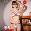 Dazzy ブラジャー ショーツ セット フェミニン シアー フローラル ブラジャー & フルバック & Tバック ショーツ 下着 レディース セット tバック ティーバック ランジェリー セクシー ランジェリー ブラ セット 上下セット drw イン