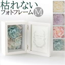【5/15限定 15%OFFクーポン】BACKYARD FAMILY ソラフラワー フォトフレーム トランスペアレントM 寝具・インテリア雑貨