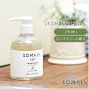 BACKYARD FAMILY SOMALI ハンド用液体石けん 250ml ローズマリーの香り ボディ・ハンド・フットケア