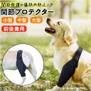 【マラソン期間中 5%OFFクーポン】BACKYARD FAMILY ...(4)
