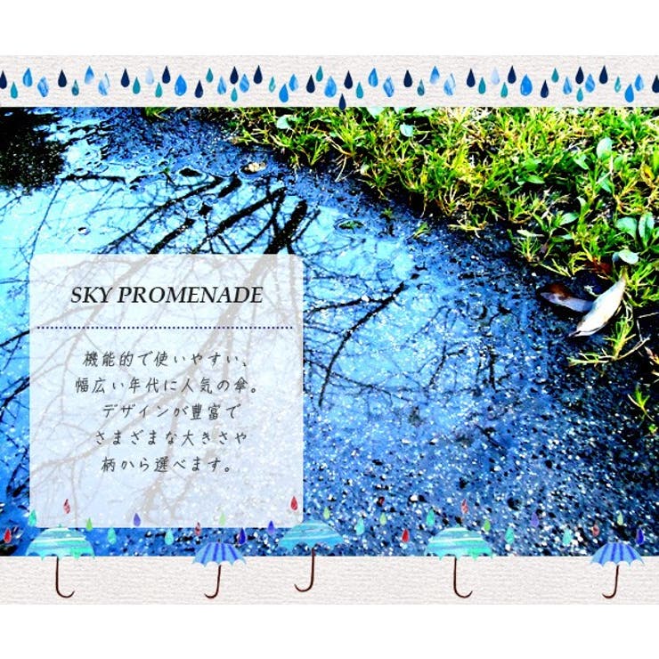 【10％OFFクーポン！1/29(木)1:59まで】BACKYARD FAMILY 傘 大きい レディース かさ 定番 アンブレラ ジャンプ 大きい ワンタッチ PROMENADE SKY スカイプロムナードおしゃれメンズ 80cm 小物