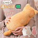 ふわふわにゃんこ湯たんぽ