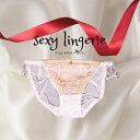 Anna Mu JAPAN セクシーショーツ セクシー ランジェリー ショーツ 単品 フルバック レディース 女性 婦人 パンティー パンティ パンツ 透け透け スケスケ ツルツル セクシ-ランジェリー 超過激 エロ 過激 エッチな下着 セクシー下着 エ