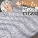 BACKYARD FAMILY フランネル敷パット セミダブル 寝具・インテリア雑貨