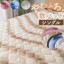 BACKYARD FAMILY グラデーションフランネル敷パット シングル 寝具・インテリア雑貨