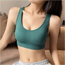 【5%OFFクーポン 9/11 1:59まで】BACKYARD FAMILY スポーツブラ pmyspbra001 インナー・下着