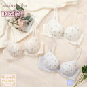 【マラソン期間中 5%OFFクーポン】palissee 【EFカップ】ラピュセル 3/4カップブラ インナー・下着
