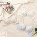 palissee 【GHカップ】ラピュセル 3/4カップブラ インナー・下着(4)