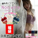 【5/16 1:59まで 5%OFFクーポン】インナーショップDiamondHearts 福袋 カラーおまかせ3点セット福袋 下着 総レース アンダーレース ノ...