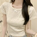 Tシャツ WOMEN 春 夏 秋 冬 SHOPLIST 3,980円以上送料無料