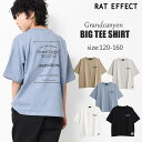 子ども服 SHUSHU GRAND CANYON ビッグTシャツ トップス カットソー 半袖 ゆったり 夏 涼しい 子供服 男の子 小学生 中学生 ファッション...